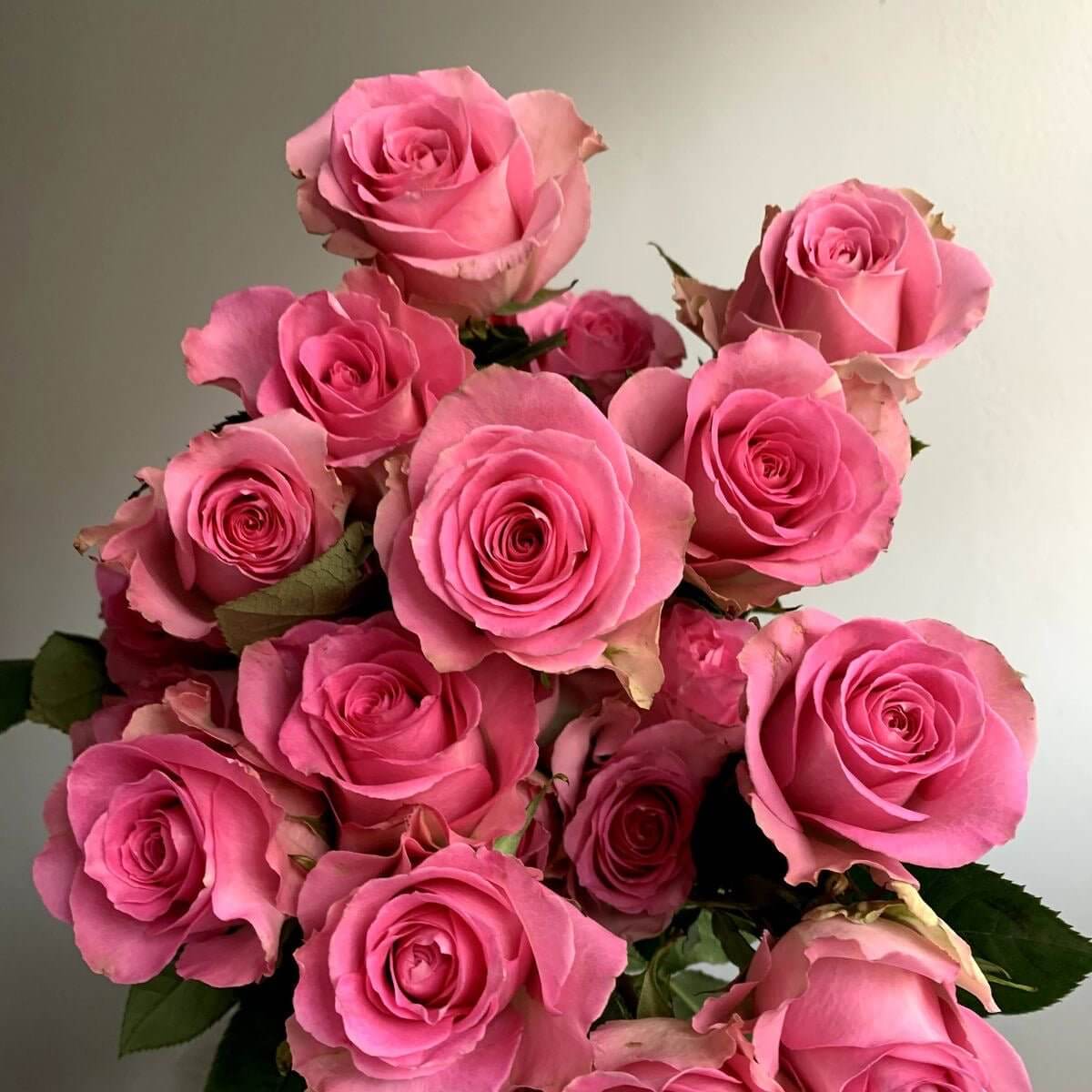 Vibrant pink roses in full bloom, showcasing their delicate petals and natural beauty in a bouquet. Focus keyword: Roses.