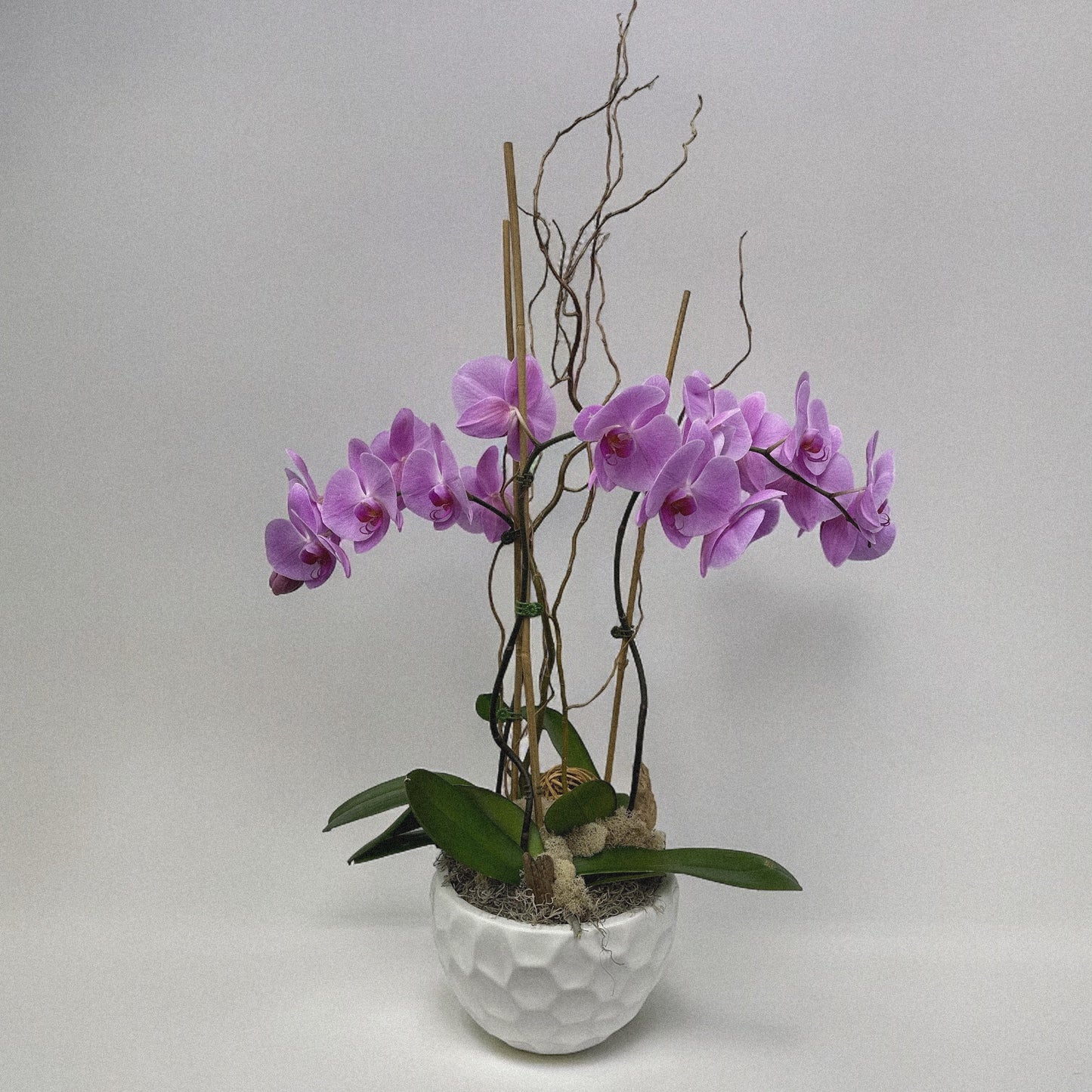 Luxury orchid arranegemt, ideal for weddings, anniversaries, and celebrations.
