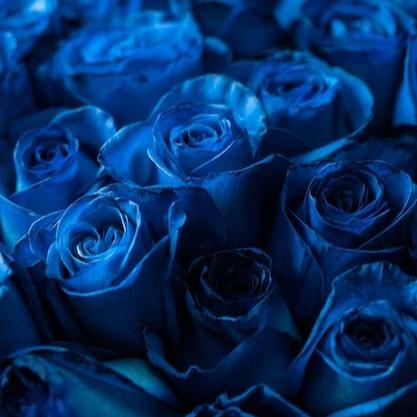 Enchanting arrangement of blueyellow roses, symbolizing friendship and happiness, a thoughtful gift choice