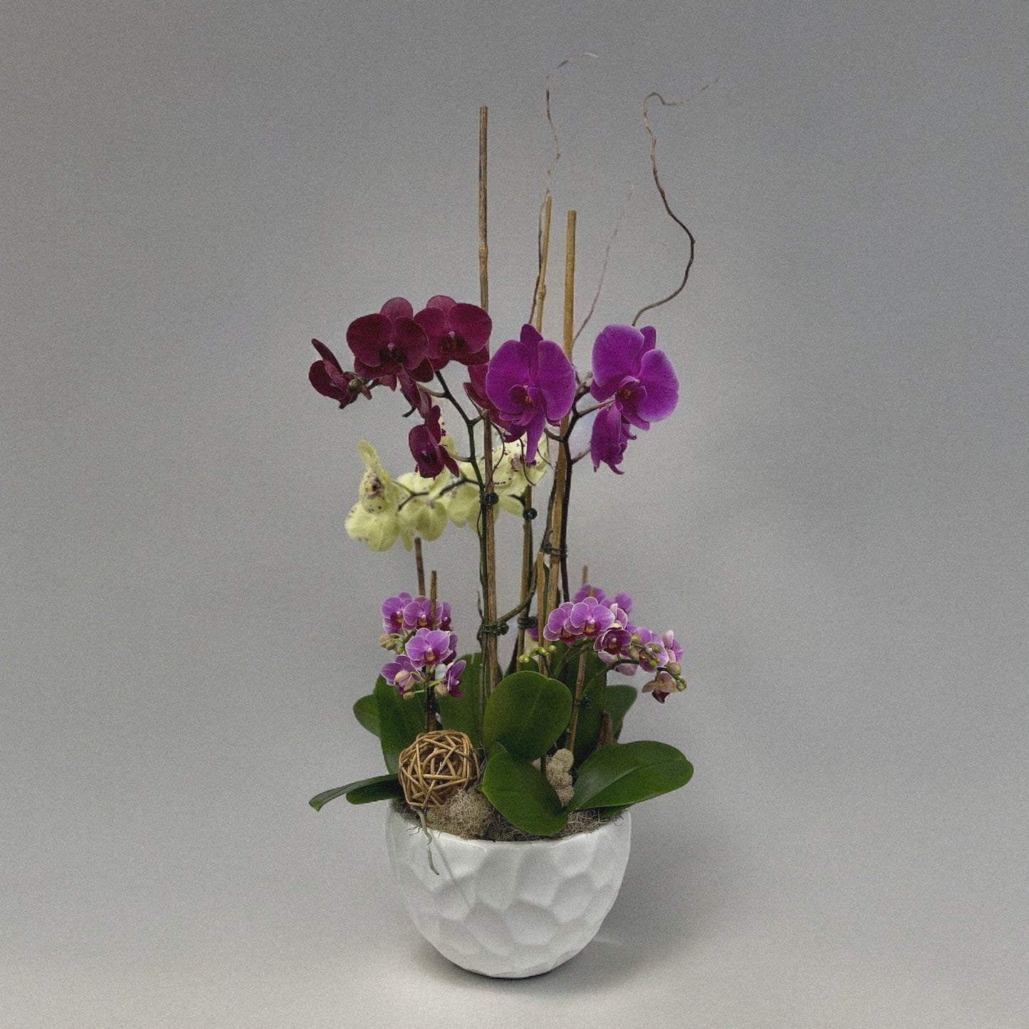 Luxury orchid arranegemt, ideal for weddings, anniversaries, and celebrations.