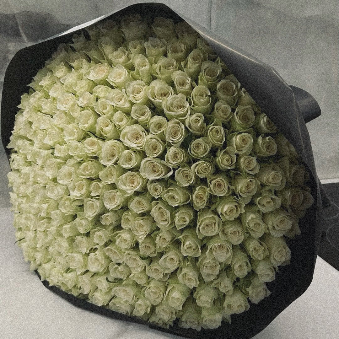 Fresh white rose bouquet, representing purity and elegance, perfect for weddings and sympathy gestures
