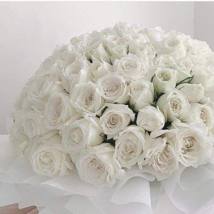 Fresh white rose bouquet, representing purity and elegance, perfect for weddings and sympathy gestures.