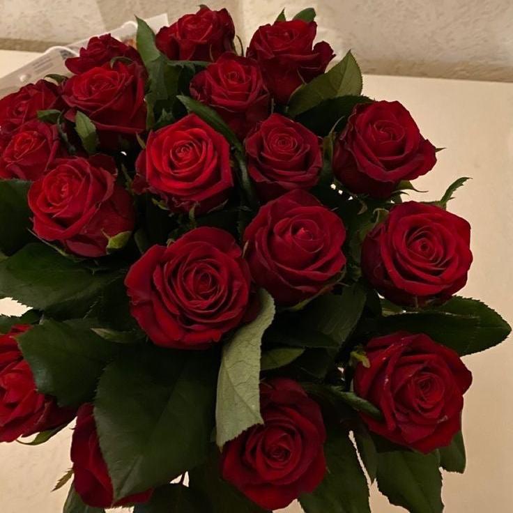 Classic dozen red roses wrapped beautifully, a timeless expression of love and affection.