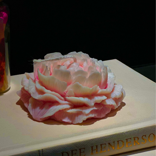 Peony Candle - Pink