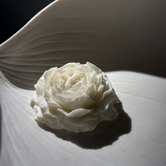 Peony Candle - White
