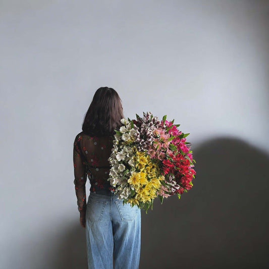 Person holding a vibrant bouquet of Alstroemeria Aurora flowers, showcasing elegance and vibrance, ideal for luxury arrangements.