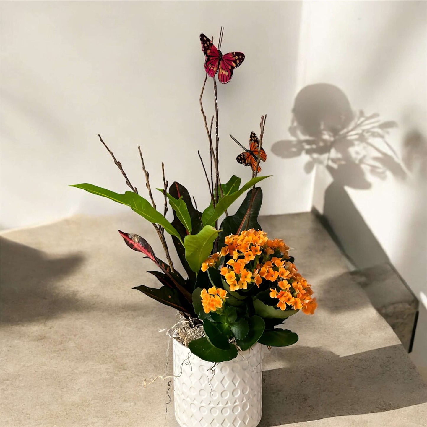 Elegant indoor plant in a decorative pot, perfect for home and office decor