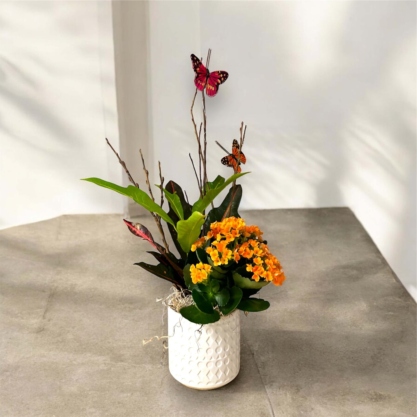 Elegant indoor plant in a decorative pot, perfect for home and office decor
