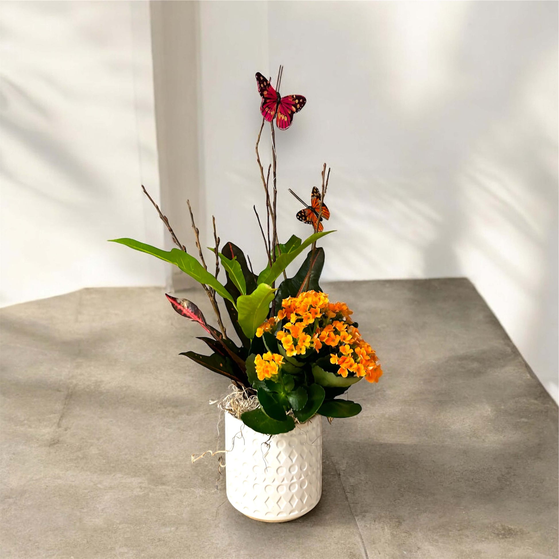 Elegant indoor plant in a decorative pot, perfect for home and office decor