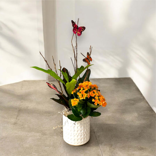 Elegant indoor plant in a decorative pot, perfect for home and office decor