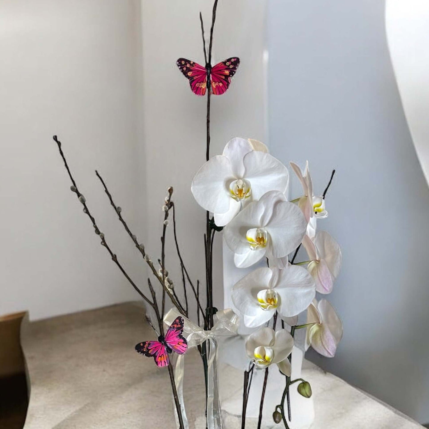 Luxury orchid , ideal for weddings, anniversaries, and celebrations