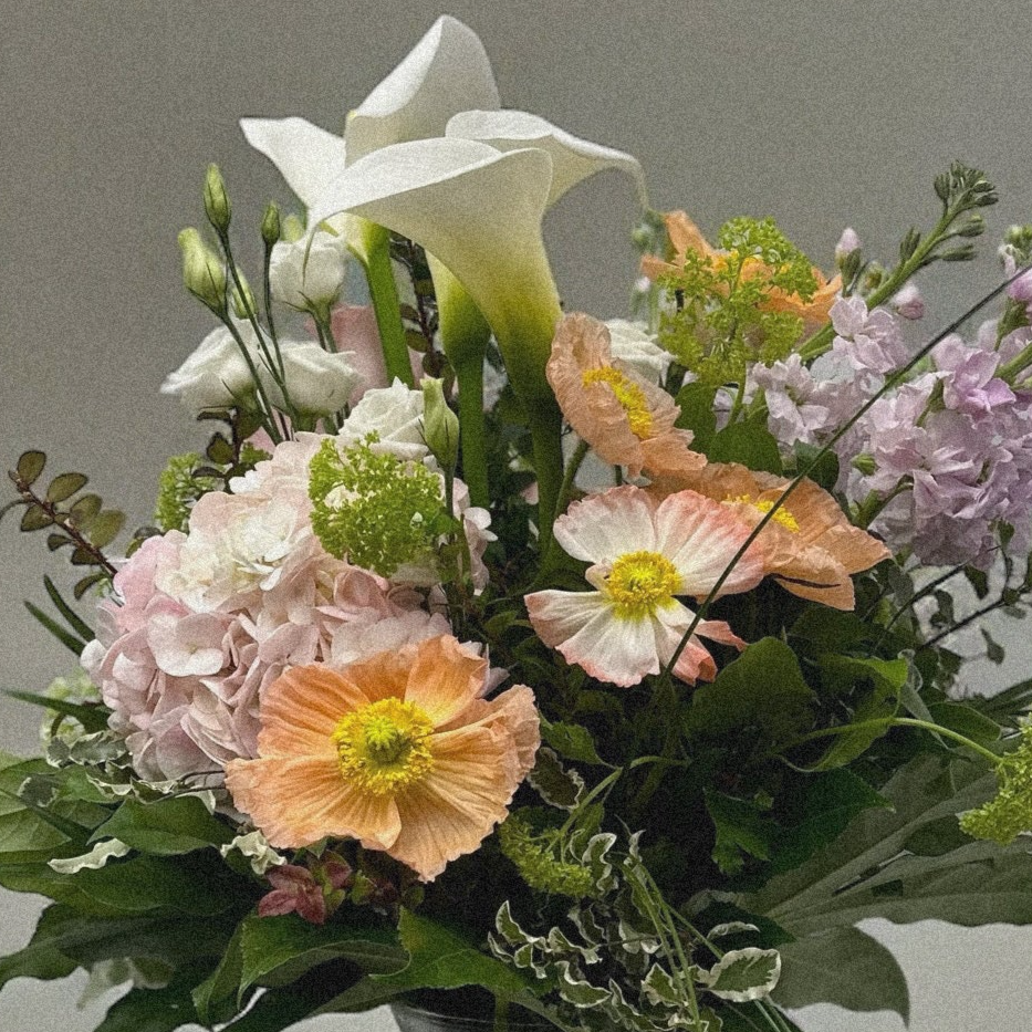 Tranquil Elegance floral arrangement with peace lily, vibrant blooms, best flower shop in Toronto, luxury for all occasions, same day delivery.