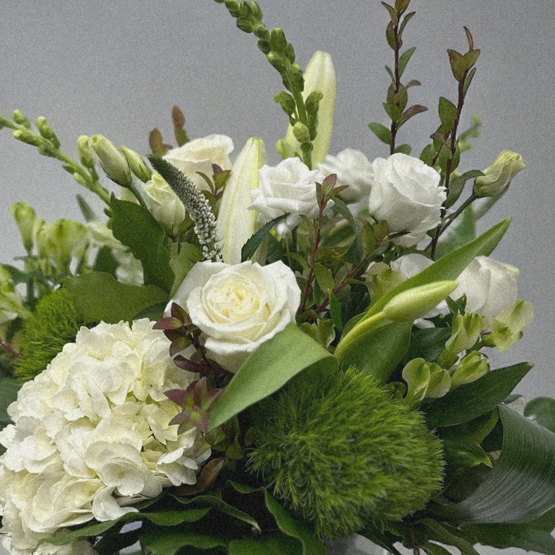 Luxurious white hydrangeas, roses, and lilies arrangement in a vase, from best florist in Toronto & GTA. Chic, for all occasions, same-day delivery.