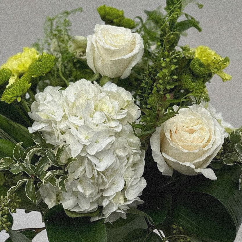 Luxury floral arrangement with white roses, hydrangeas, and green button poms in a sleek vase, perfect for all occasions in Toronto.
