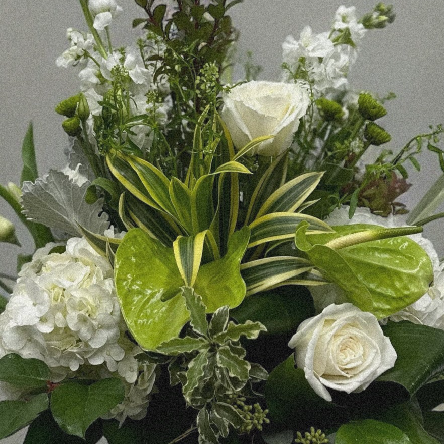 Luxury floral arrangement with white roses, hydrangeas, anthuriums, and foliage. Ideal for all occasions, best in Toronto's flower shop.
