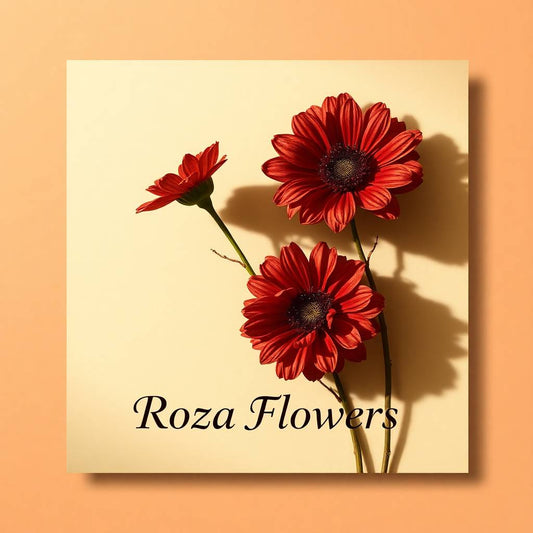 Greeting Card