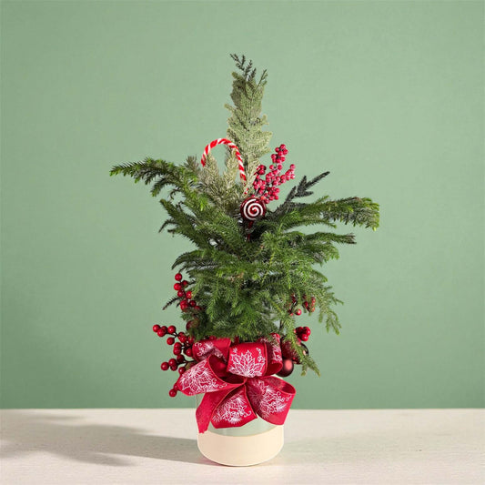 Mini pine tree with red berries, Candy cane ornament, frosted greenery, and red bow in a cream pot.