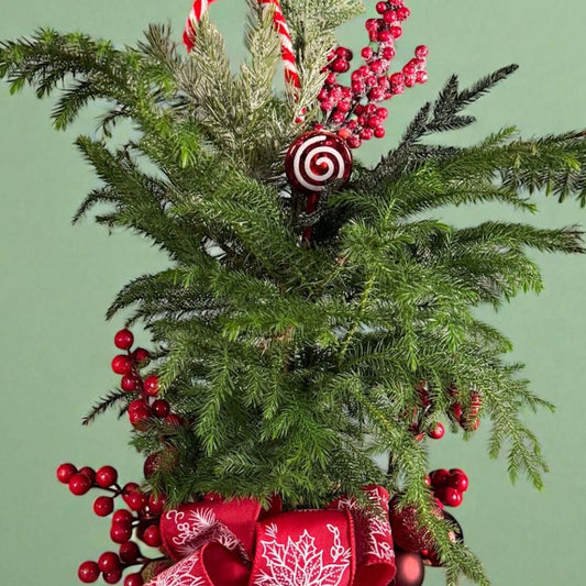 Mini pine tree with red berries, Candy cane ornament, frosted greenery, and red bow in a cream pot.