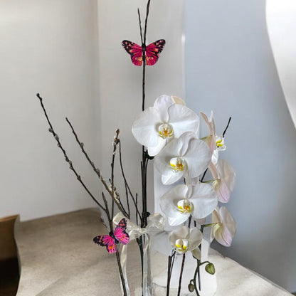 Elegant Orchid Butterfly Arrangement